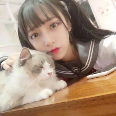 守卫萝莉破解版下载